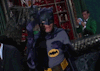 citizenscreen:It’s #BatAppreciationDay 