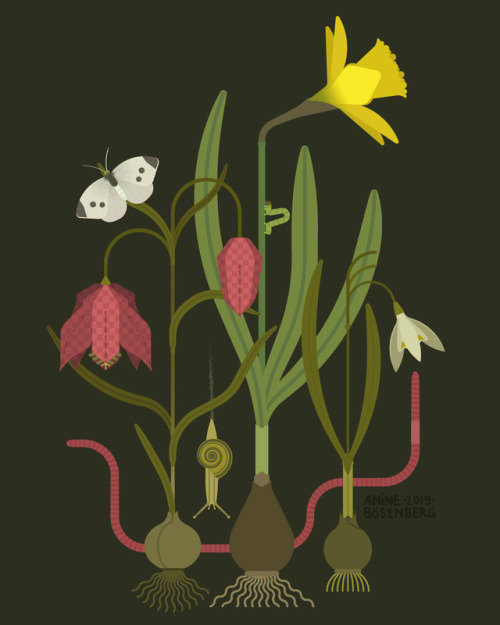 anineboesenberg:Vector flowers, personal work, 2019 A little spring themed vector practice! I curren