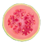 bamboleos