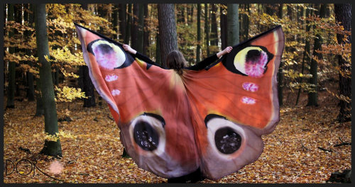 sosuperawesome:  Hand painted silk butterfly wings by PracowniaDor on Etsy  • So Super Awesome is also on Facebook, Twitter and Pinterest • 