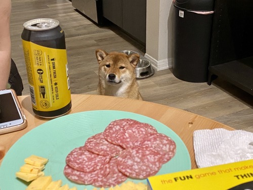 absolutedoge:Father, I crave cheddar