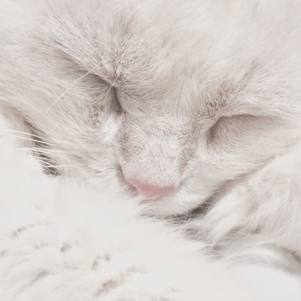 sphairos: soft.