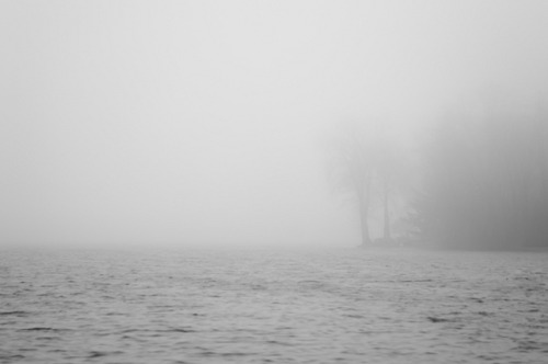foggies:☹☹☹☹foggy☹☹☹☹