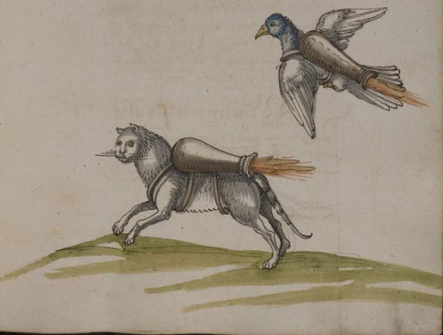 16th-century artillery manuals demonstrating how to use cats and birds to set fire to besieged citie