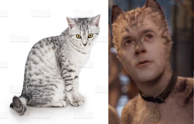 Cats 2019 As Real Cats Cause Why Not.part 3 The Toms