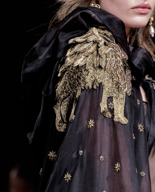 velvetcloak:alberta ferretti | fall 2017