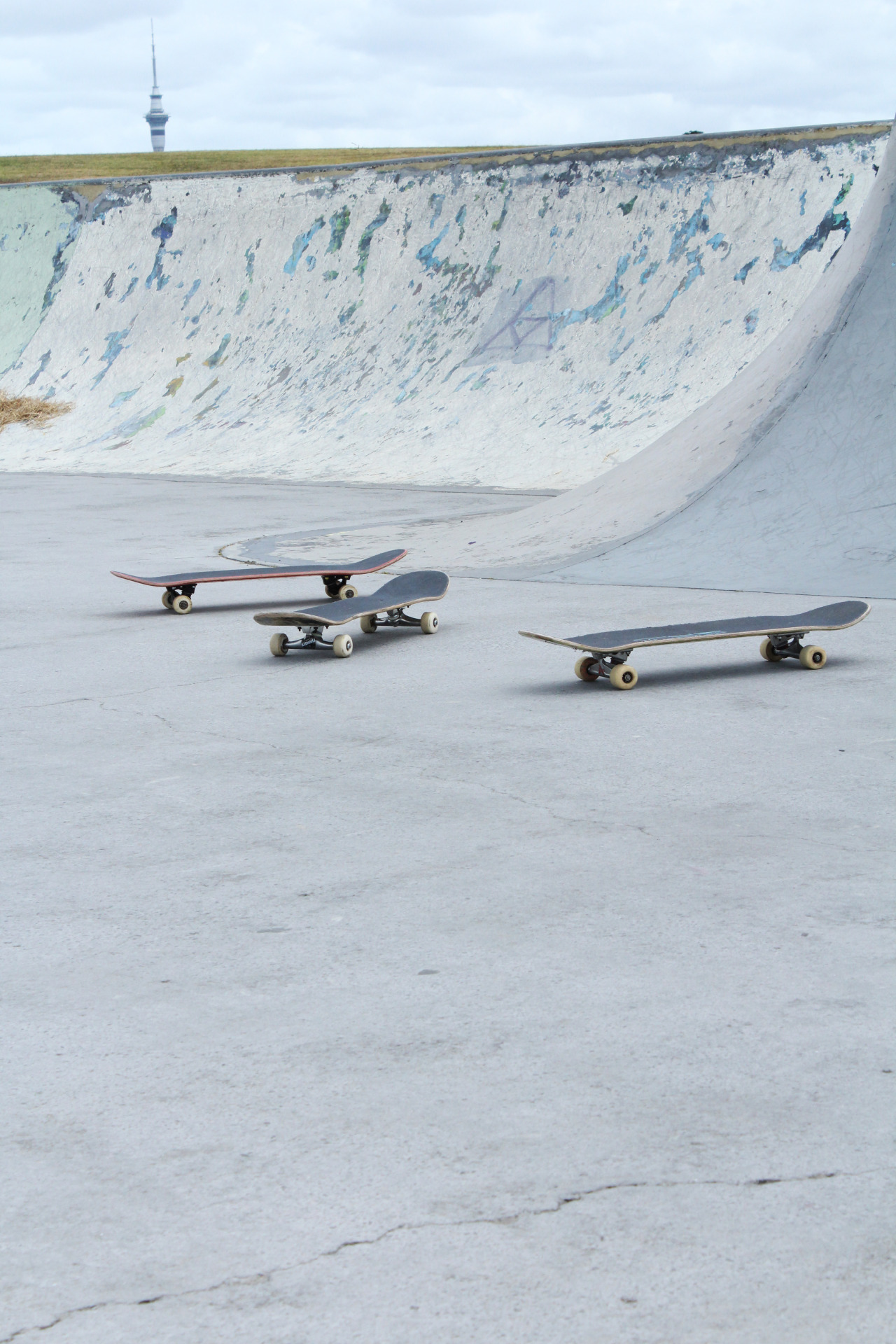sskateboard:  Skate blog !
