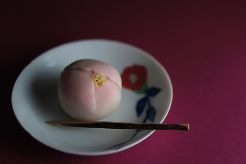 theantidote: camellia and camellia (by anzyAprico) Japanese sweet (wagashi)