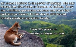 This so like my dog he has the power of bark