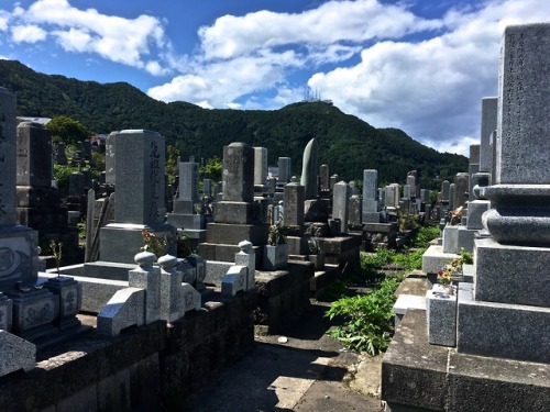 Hakodate Shiei Sumiyoshimachi Kyodo CemeteryHakodate, Japan, August 2019