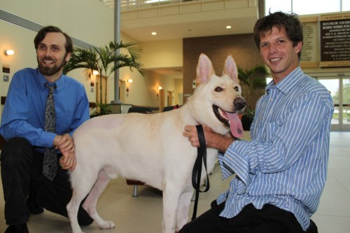 small animal hospital uf