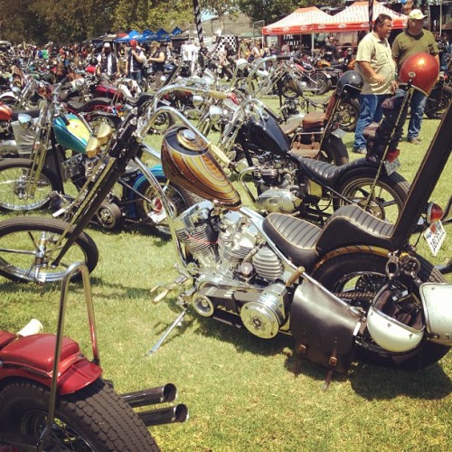 moonsmc: #harleydavidson #merican #motorcycle #chopper #bf5 #bornfree5 #california