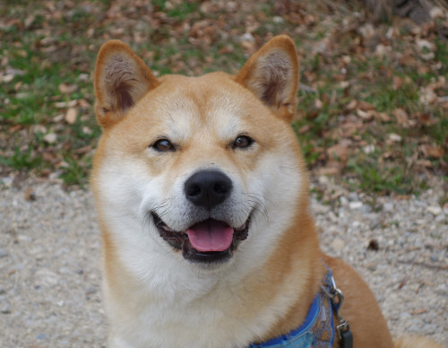 smiling Taka (May, 2014)