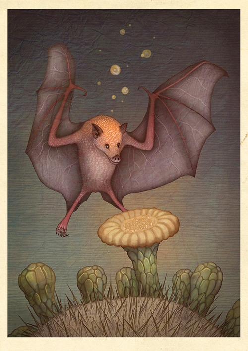 BATS! A series of illustrations created for the Earth Touch / Smithsonian Channel documentary CRAZY 