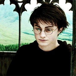 harrypotterdailly:Harry must have had more haircuts than the rest of the boys in his class put toget