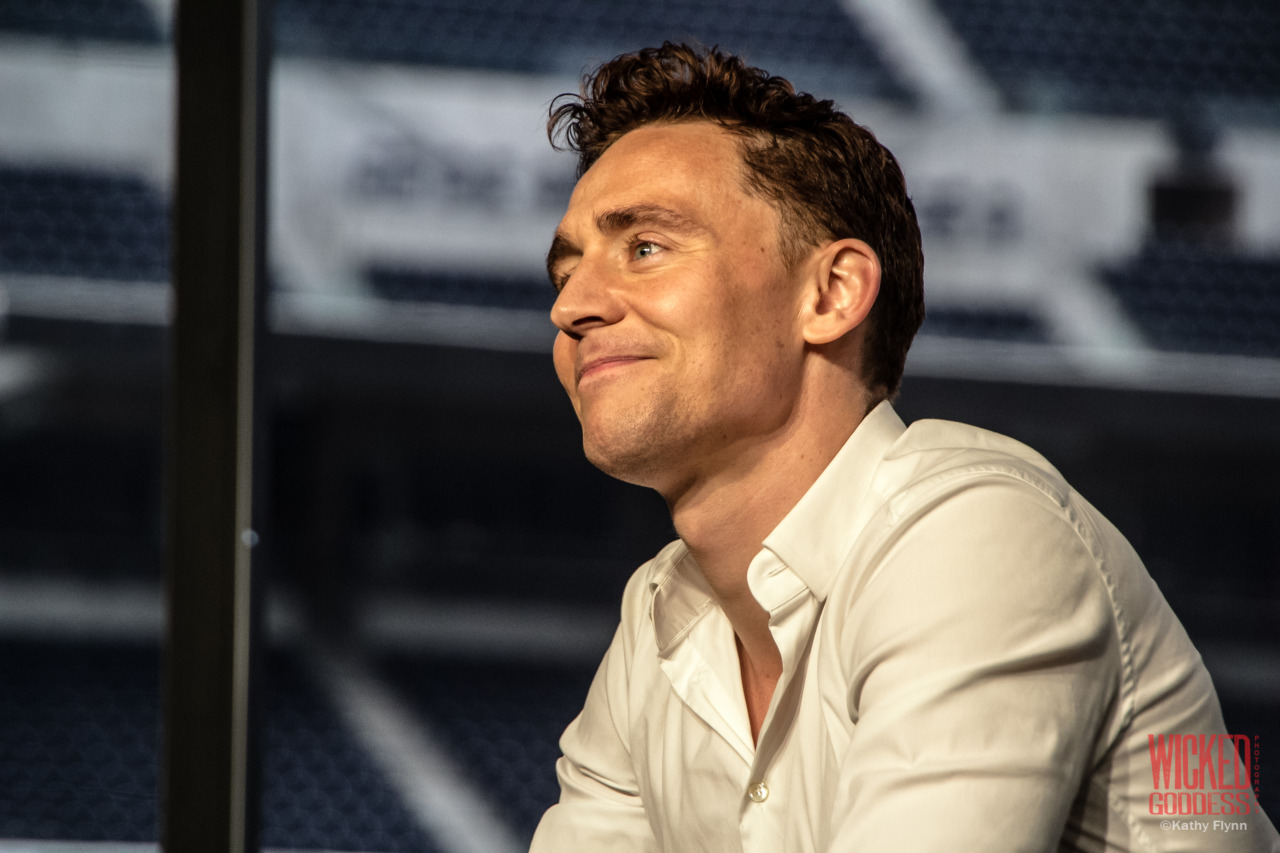 vivillrocku:  HQ - Tom Hiddleston at Nerd HQ 2013 at Petco Park [27P] 