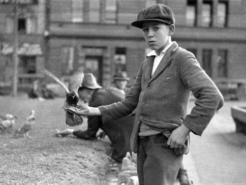 Sam Hood. Boy with pigeons at Circular Quay, Sydney. 22 June 1935