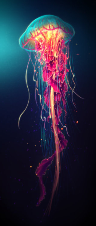 little-dose-of-inspiration:  Jellyfish by shobey1kanoby