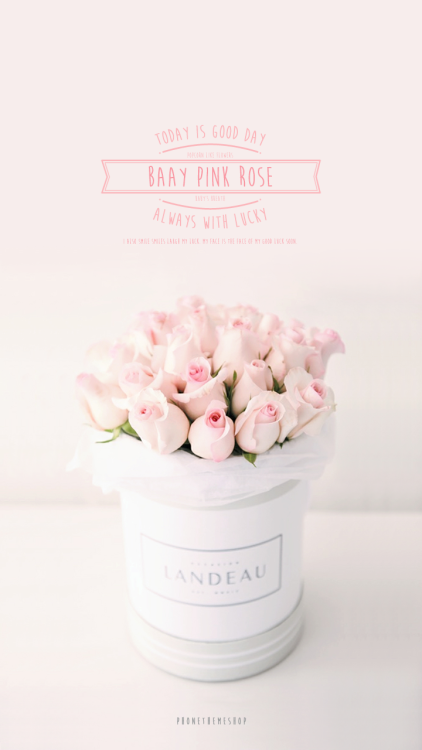 hoonsena:Pink flower backgrounds || ♡ 