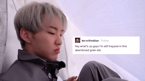 Seventeen X Text Posts [1/?]