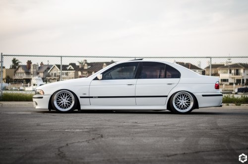 sickest-whips