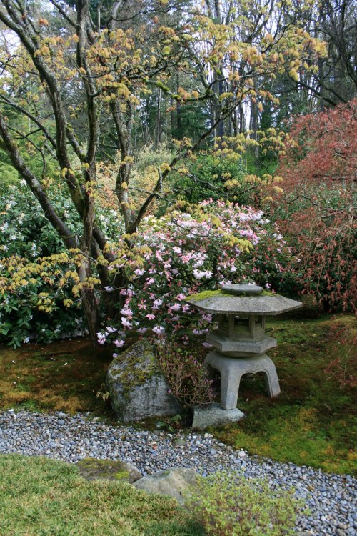 iammightee:Seattle Japanese Garden, Seattle, Washington