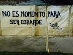 accionpoeticaenchile:  &ldquo;No es momento para ser cobarde&rdquo;Av. Cardenal Raúl Silva Henríquez (Ex Av. La Serena)/Totoralillo. La GranjaNota: El árbol no fue pintado por nosotros, ya se encontraba así. 