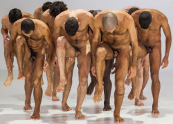 gluteus maximus