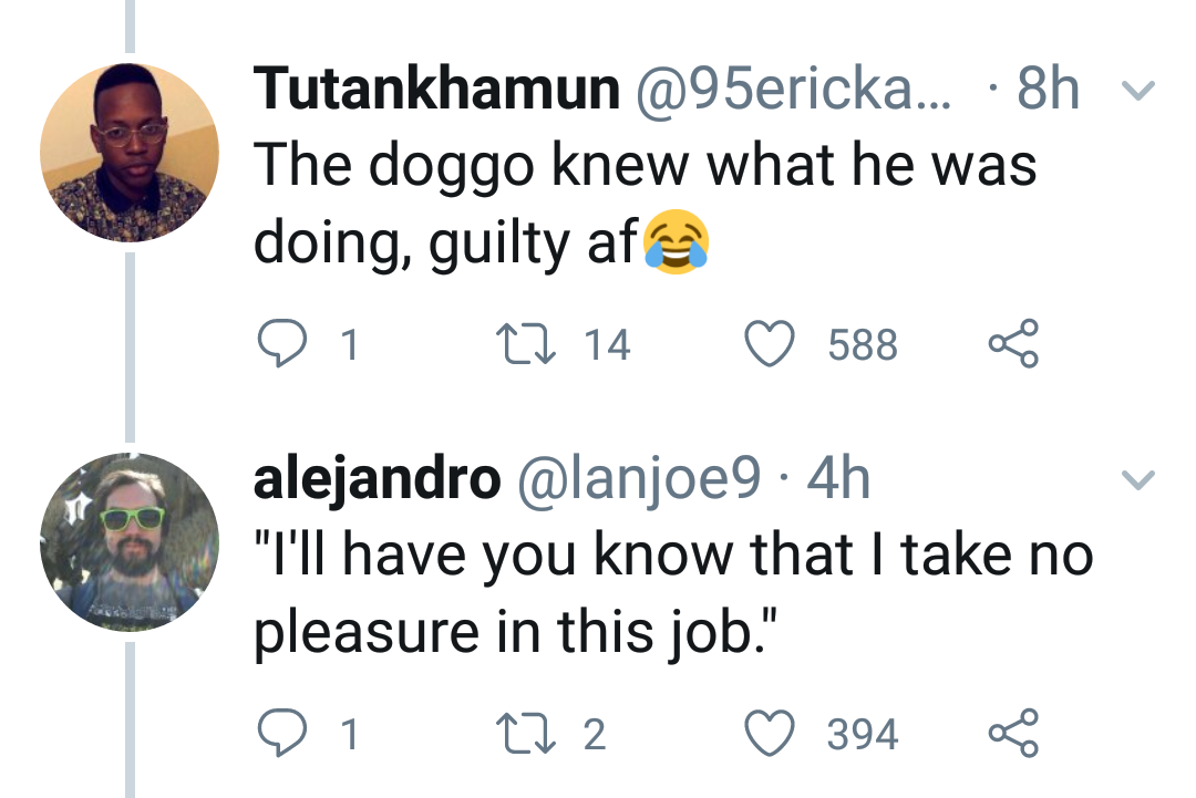 He's still a good doggo
