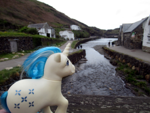 travelling-my-little-pony:Majesty watches the river Valency as it flows through Boscastle.In Cornwal