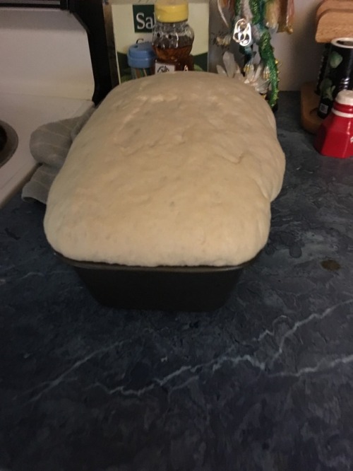 ahzrukahl: ahzrukahl: this bread is STUPID huge AAAAAAAAAAAAAA fuck yeaaaaaa