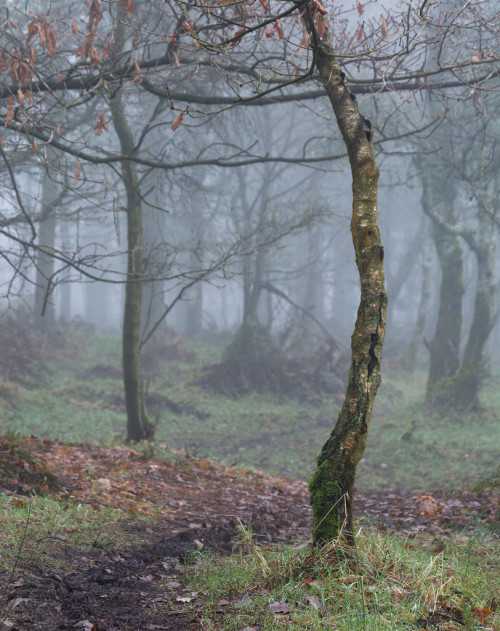 Gloom - Belmont, Bolton, UK. by Daniel Kay