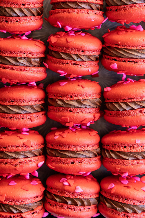 sweetoothgirl:all the macarons please  (recipes 1, 2, 3, 4, 5, 6, 7, 8, 9, 10) YesYesYesYesYesY