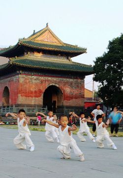 feiyuesizechart:  World martial art Chinese