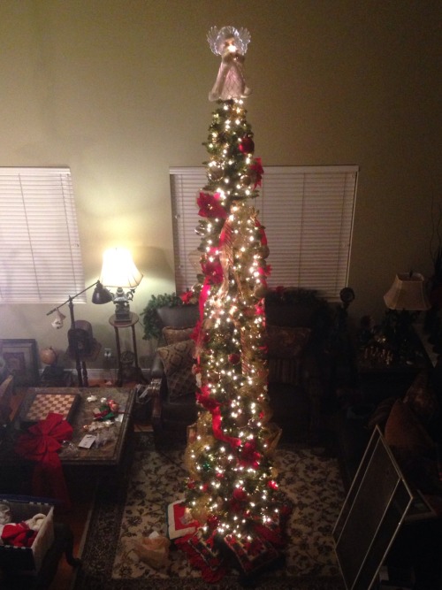 cyndaquil:  so we have a 12 foot tree in our house