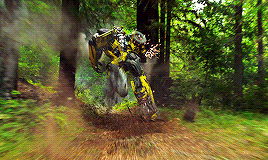haileesteinfelds:People can be terrible about things they don’t understand. Bumblebee