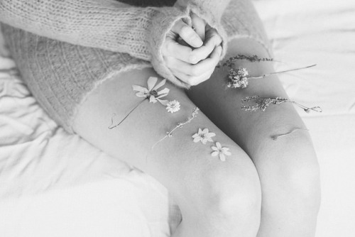 emissarium: by Anna O. on Flickr.