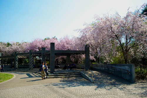 Inokashira Park on Flickr.