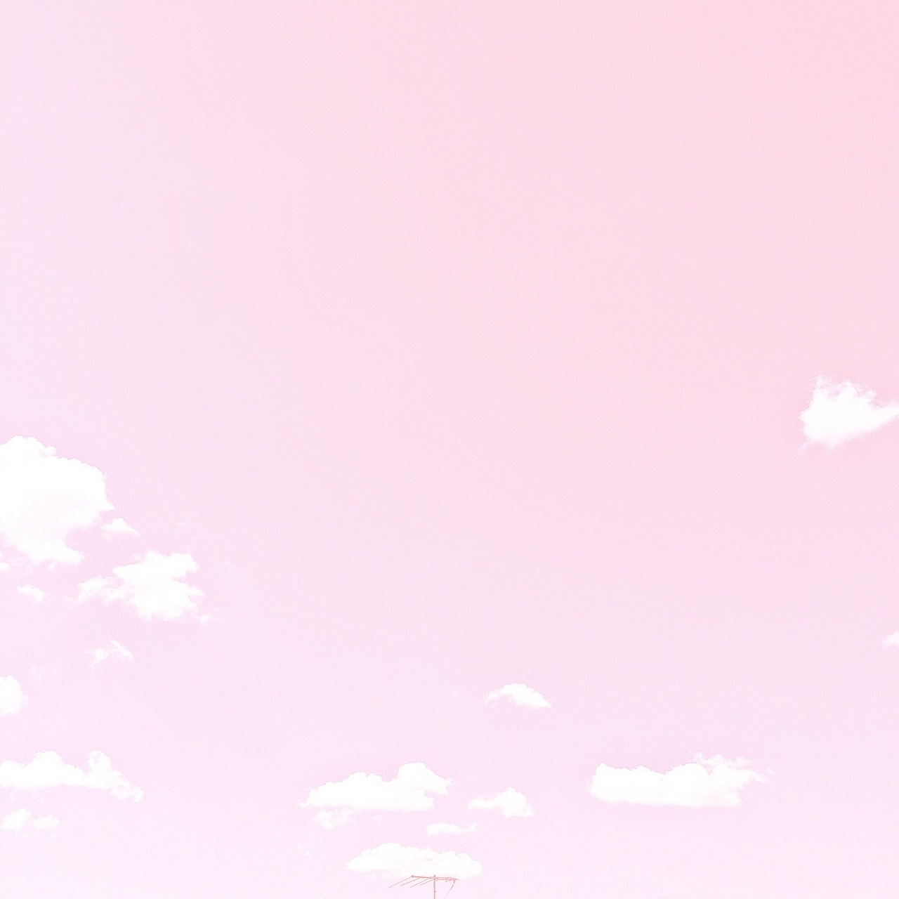 Find the Perfect Look with Pink Background Everskies for Your Desktop and Phone