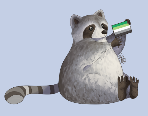 Happy Pride Month!!! We are starting the month with pride raccoons! :)