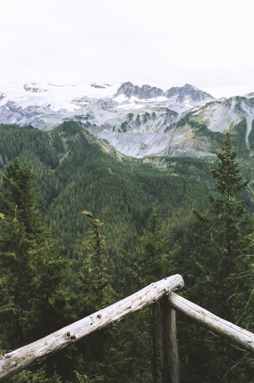 northwezt:Mount Rainier National Park, WAFlickr / Instagram