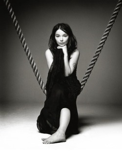 Bjorkquotes:  Björk Photographed By Marc Hom (2006)