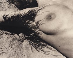 mulovesimages:  NEW MEXICO SHADOW - DENIS PIEL - 1984 