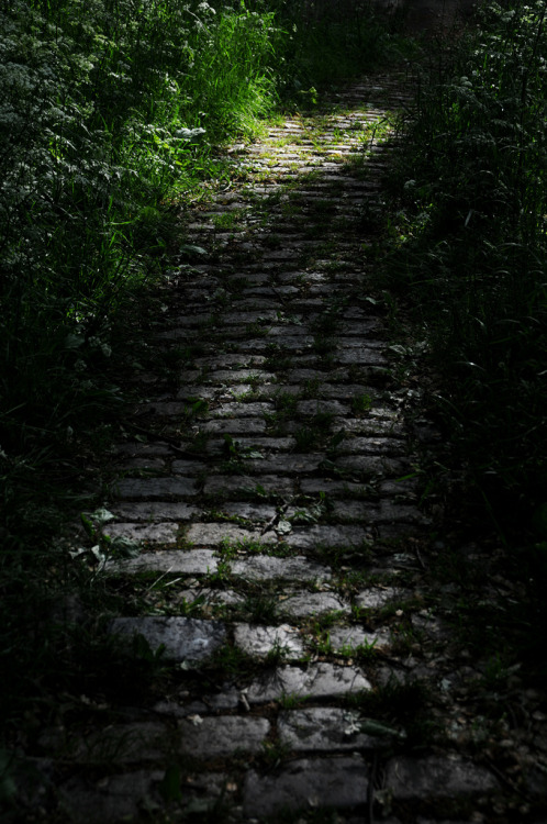 firmamente: Follow the brick road by Benedictus Schwartze