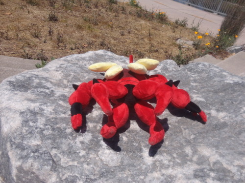 sqishyrina: Just finished making a Buzzwole plush! He took quite a while, and has a LOT of fine deta