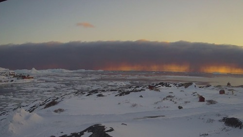 lichtschimmer:North America, Greenland, Ilulissat - webcam 