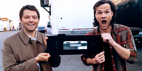 mishasminions:  SERIOUSLY MISHA WHAT IS YOUR FACE YOU’RE EITHER A CUTE CUDDLY SEXY BB  OR A PSYCHOTIC MOTHERFUCKER WHO WILL PROBABLY KILL ME IN MY SLEEP  THERE IS NO IN BETWEEN 