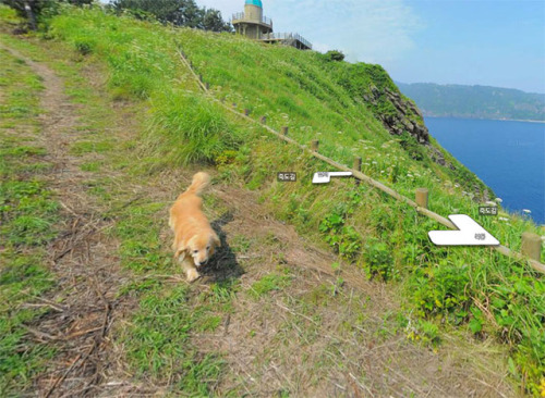 somesomaek:agingerwithaseoul:Dog in a Small Korean Town Follows Street View Photographer, Photobombs
