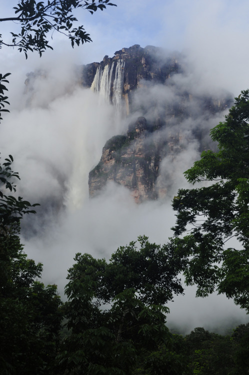 Angel waterfall in the clouds / Venezuela (by Jarek).