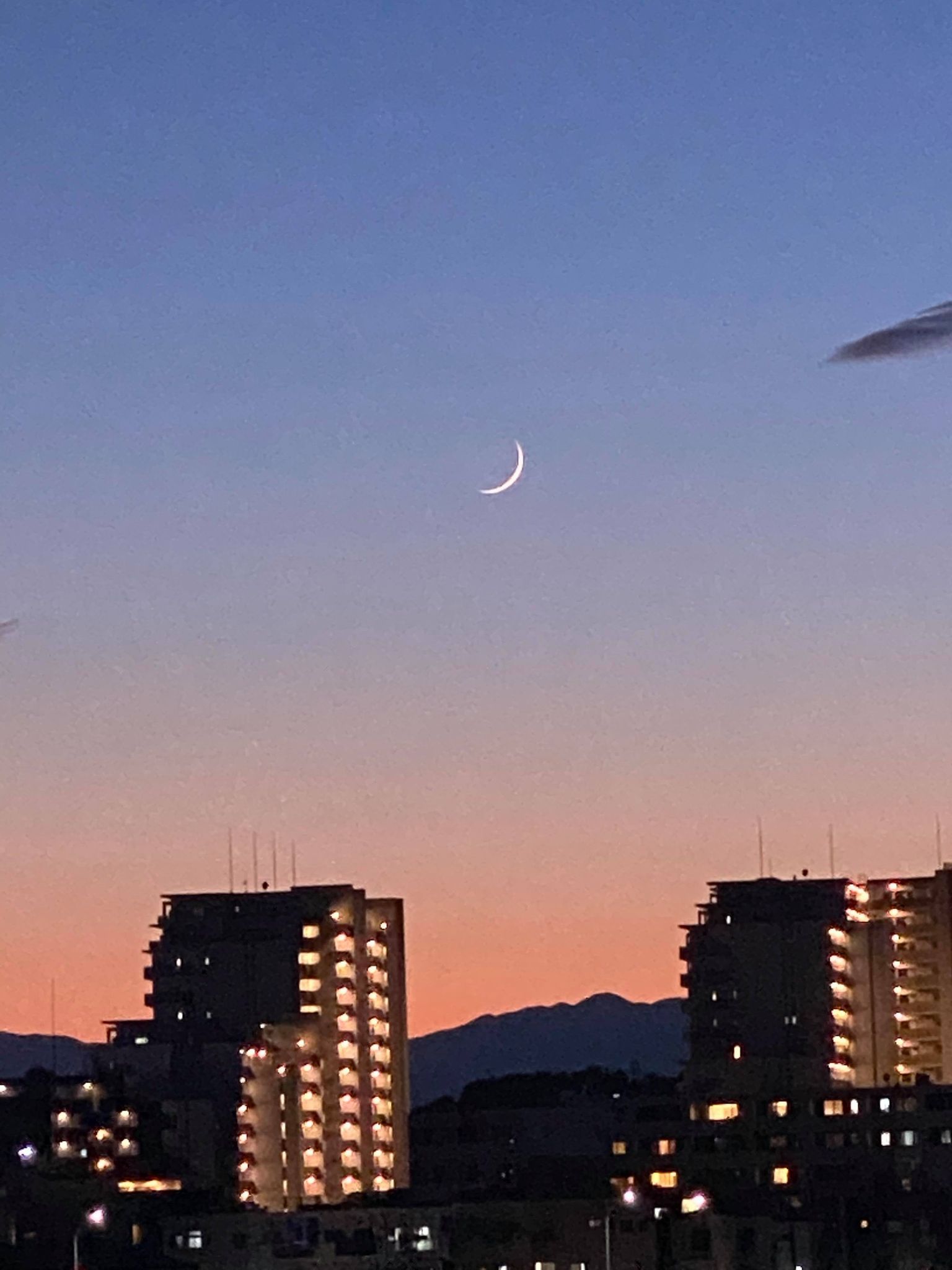 街の寿司屋 Explore Tumblr Posts And Blogs Tumgir 街の寿司屋 Explore Tumblr Posts And Blogs Tumgir